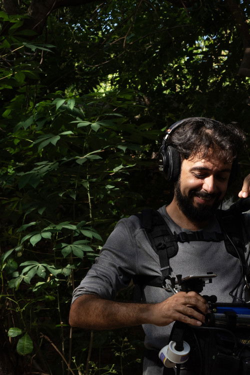 ЦАХХИ СИЛВА