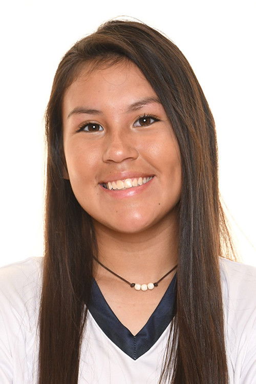 Схелбй Фацтор