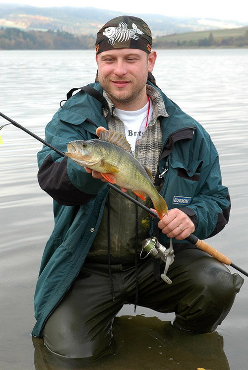 Давид Хавлíčек