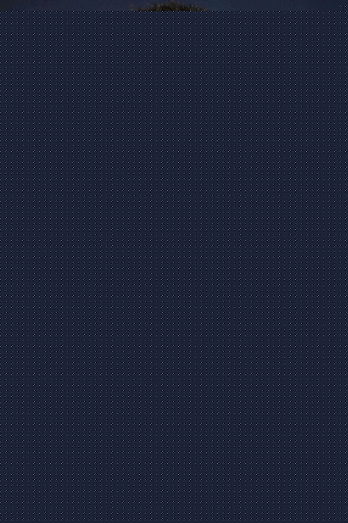 Мандела Матхиа