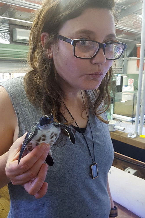 Кате Паппас