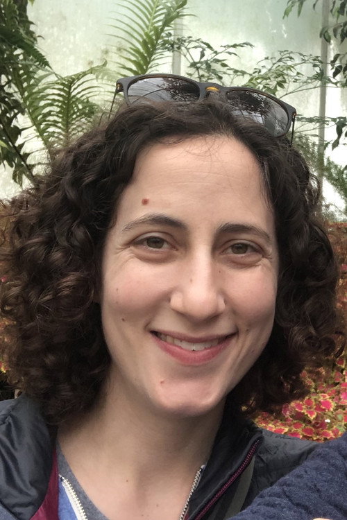 Анне Абрамоwитз Jунгет