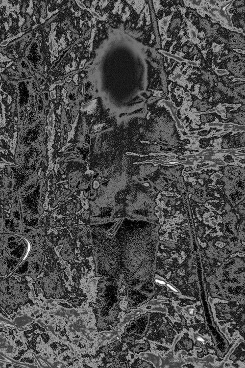 Брандон Wилсон