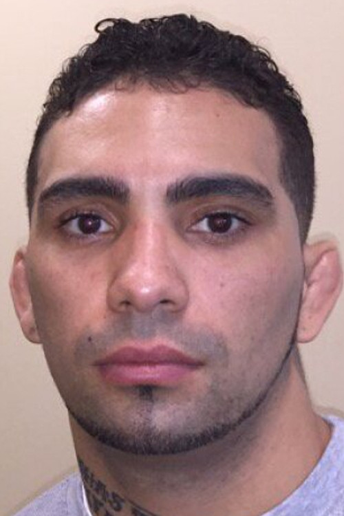 Царос Фодор