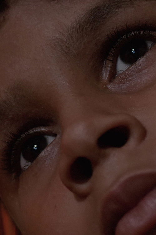 Даниел Луцас