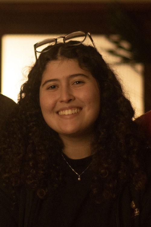 Цамилле Видор М. да Силва