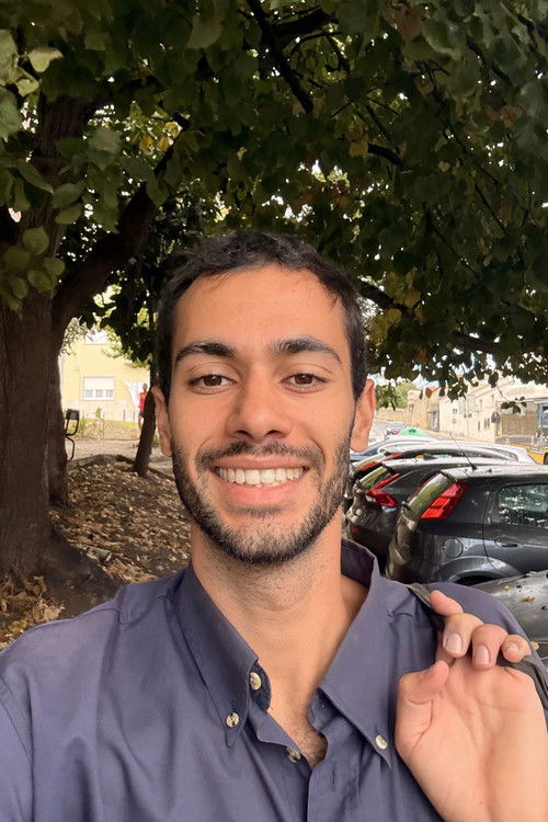 Луíс Афонсо де Матос