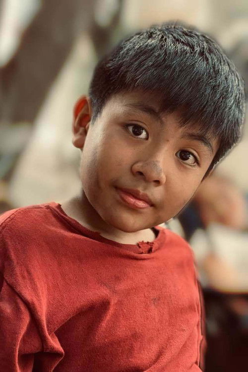 Пхạм Дуй Анх