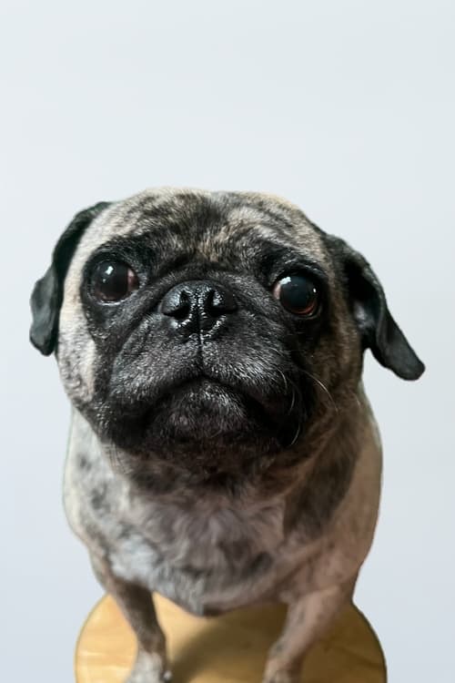 Гленн Халлмарк