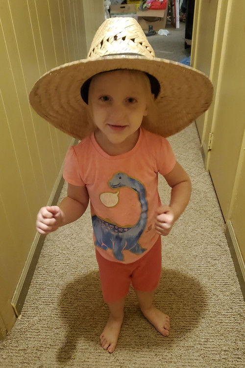 Диана Симпсон