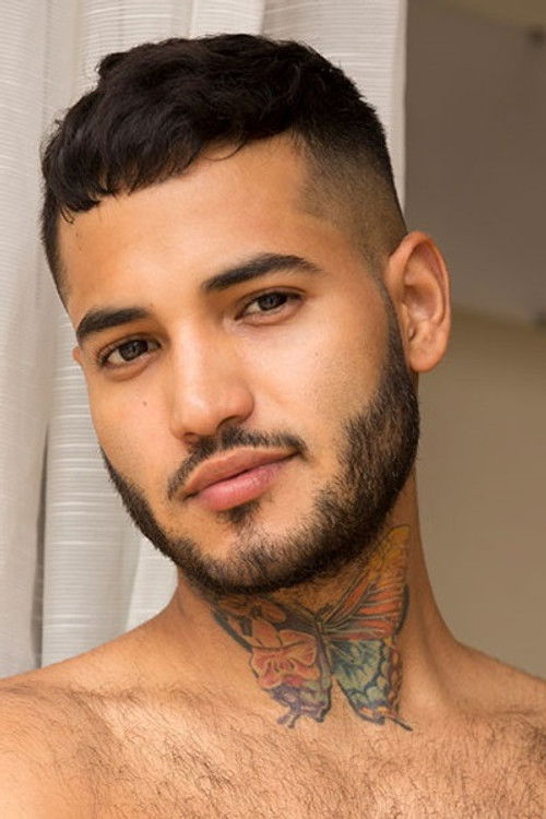 Андреа Новак