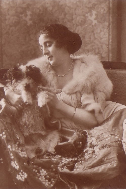 Мартха Новеллй