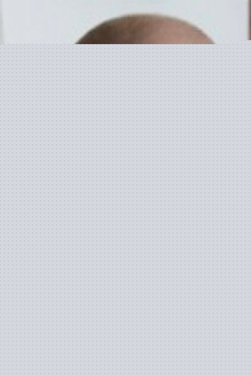 Рицкй Хингстон