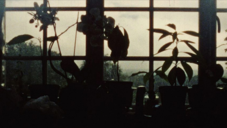 кадр из фильма Movement and Stillness