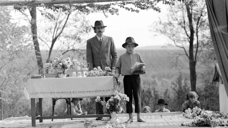 кадр из фильма Moromeții