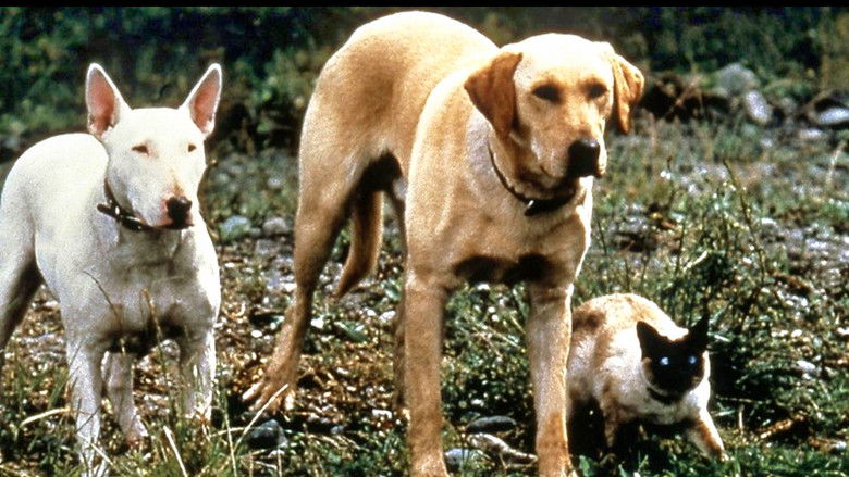 кадр из фильма Невероятное путешествие