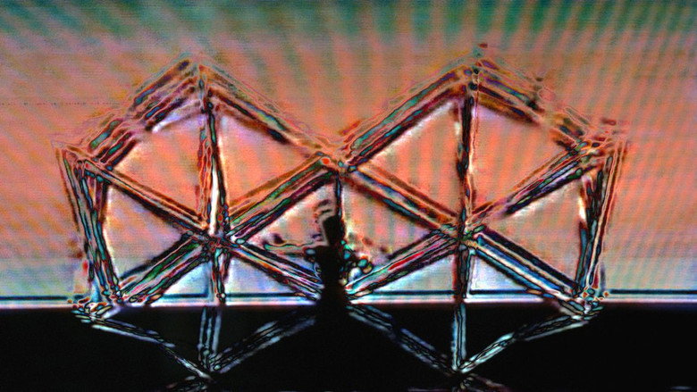 кадр из фильма Mad Ladders