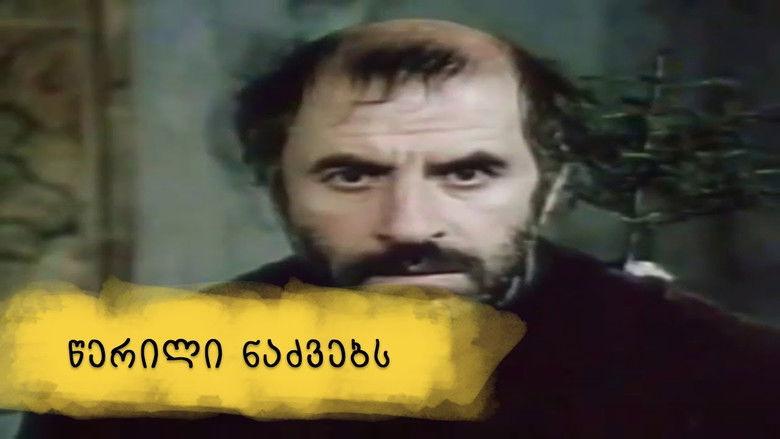 წერილი ნაძვებს