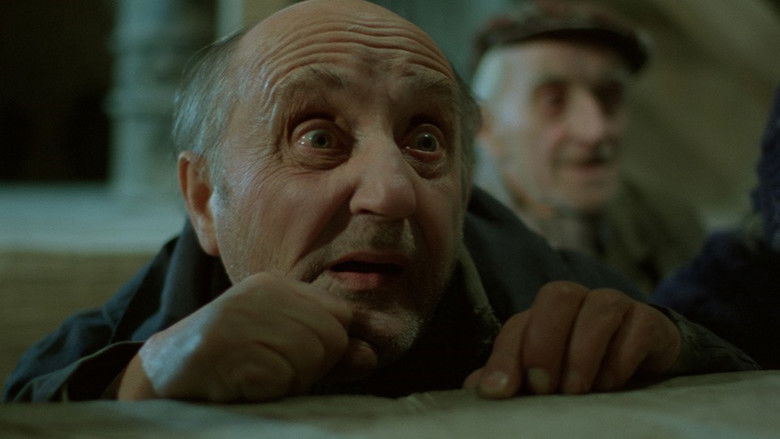 кадр из фильма Prognoza pogody