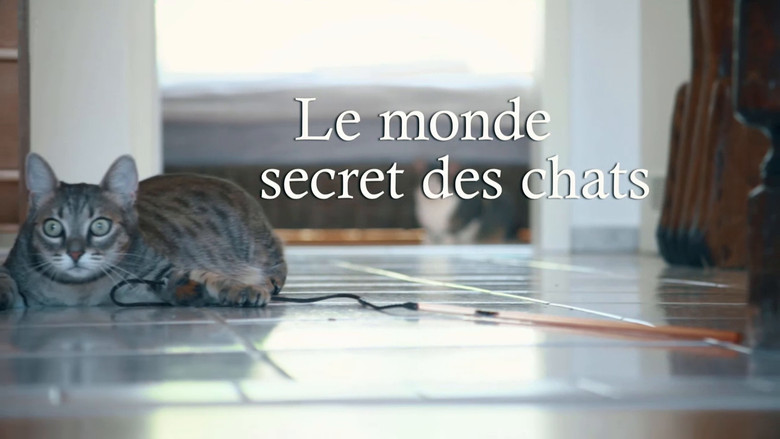 кадр из фильма Das geheime Wesen der Katzen