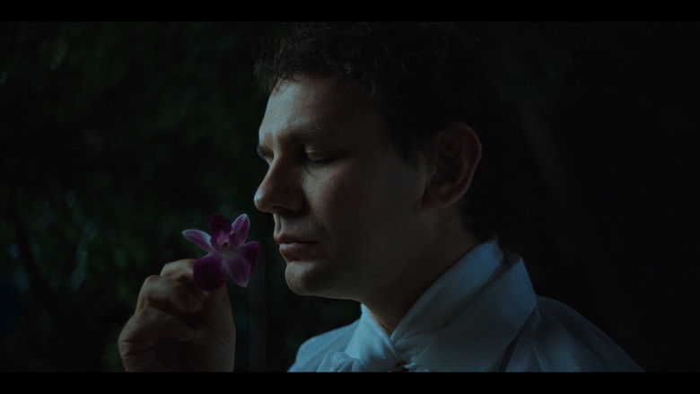 кадр из фильма Midnight Coachmen