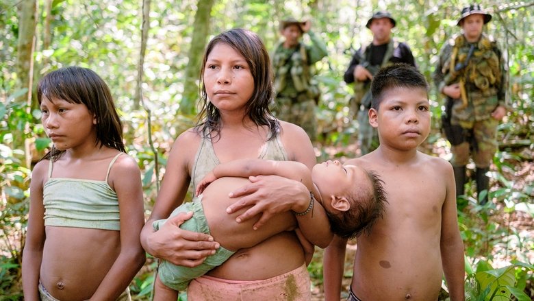 кадр из фильма 40 días perdidos en la selva