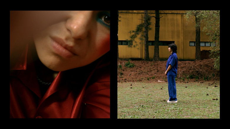 кадр из фильма Lembrar de Mim