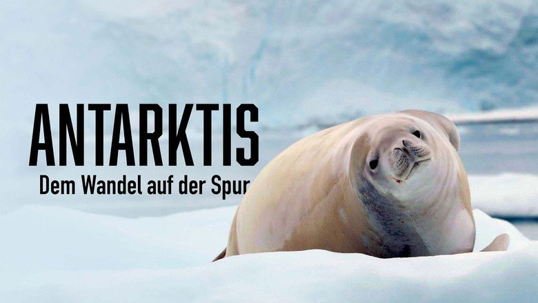 кадр из фильма Antártica: En Búsqueda de la Adaptación