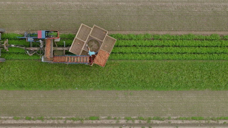 кадр из фильма De Queeste