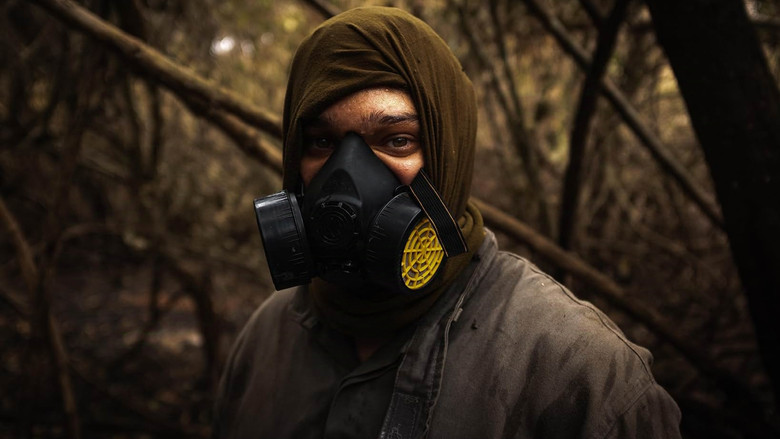 кадр из фильма Sinfonia da Sobrevivência