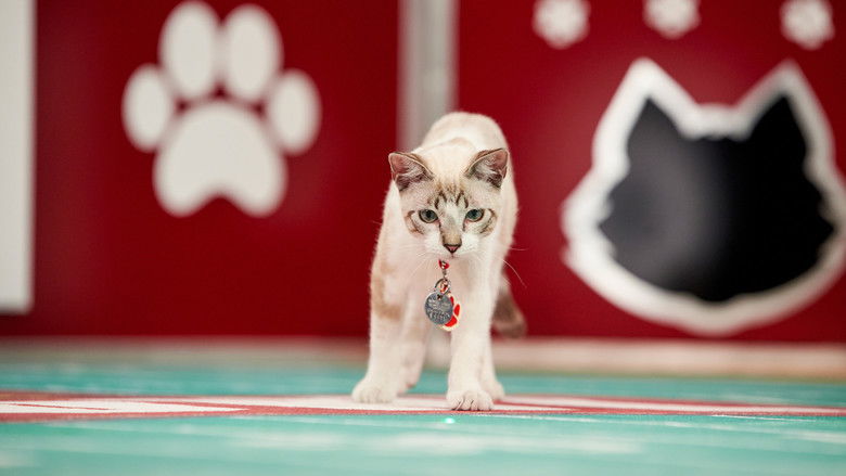 кадр из фильма Hallmark Channel's 1st Annual Cat Bowl