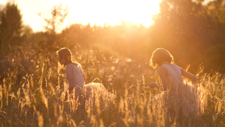 кадр из фильма Sangailės vasara