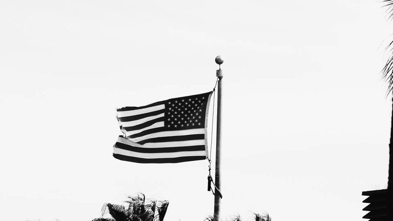 кадр из фильма The Longest Summer in America