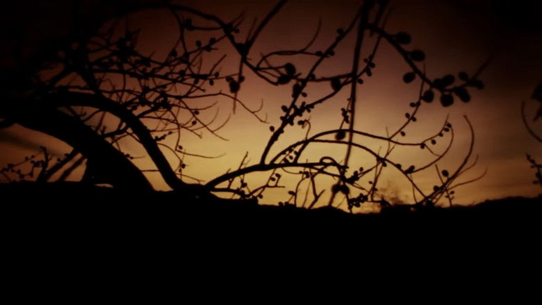 кадр из фильма Virgin People