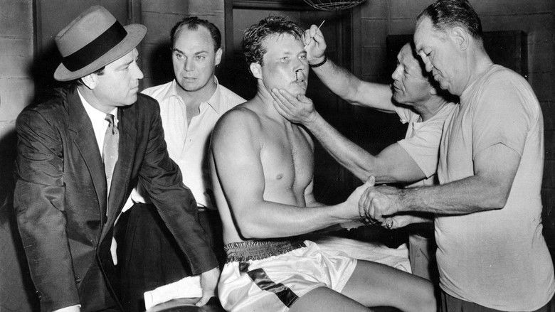 кадр из фильма The Crooked Circle