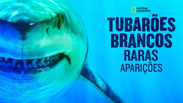 кадр из фильма World's Biggest Great White?