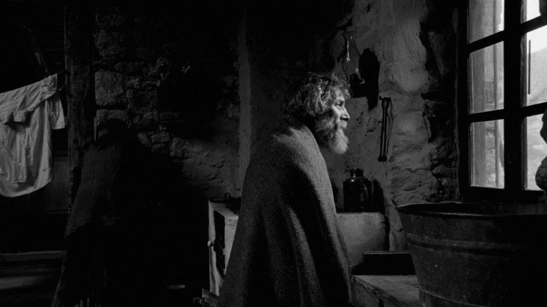 кадр из фильма Туринская лошадь