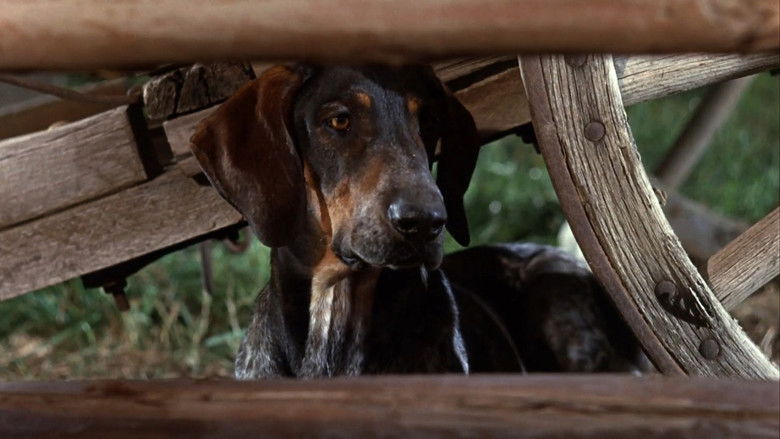 кадр из фильма Savage Sam