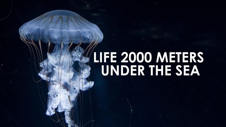 кадр из фильма Life 2,000 Meters Under the Sea