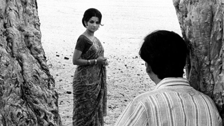 кадр из фильма Дни и ночи в лесу