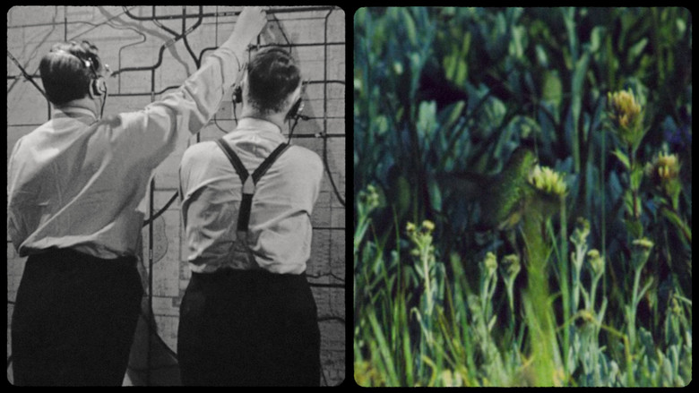 кадр из фильма Where Do Ideas Come From?