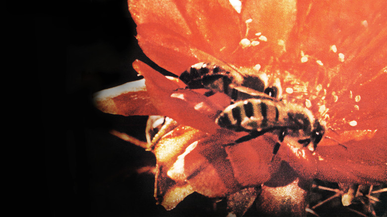 кадр из фильма Secrets of Life