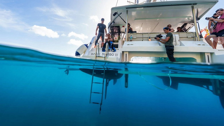 кадр из фильма En immersion avec Alice Belaïdi