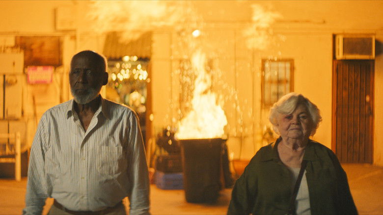 кадр из фильма Тельма