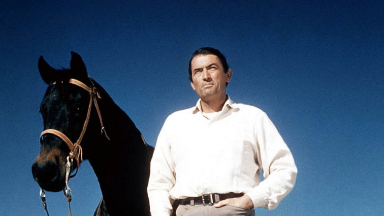 кадр из фильма Большая страна