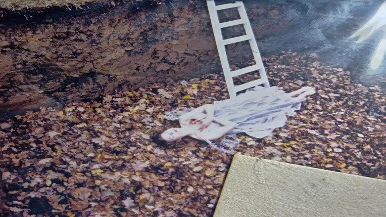 кадр из фильма 花を摘む少女と虫を殺す少女