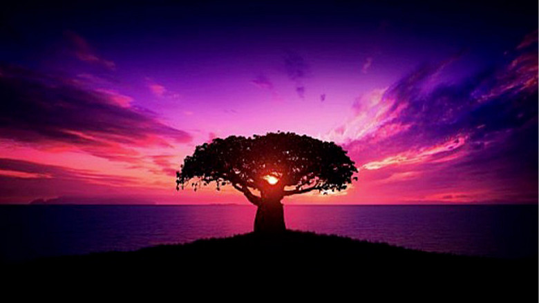 Dis-moi ta classe je te dirai qui tuer