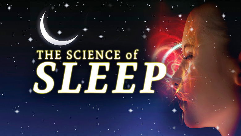 кадр из фильма The Science of Sleep