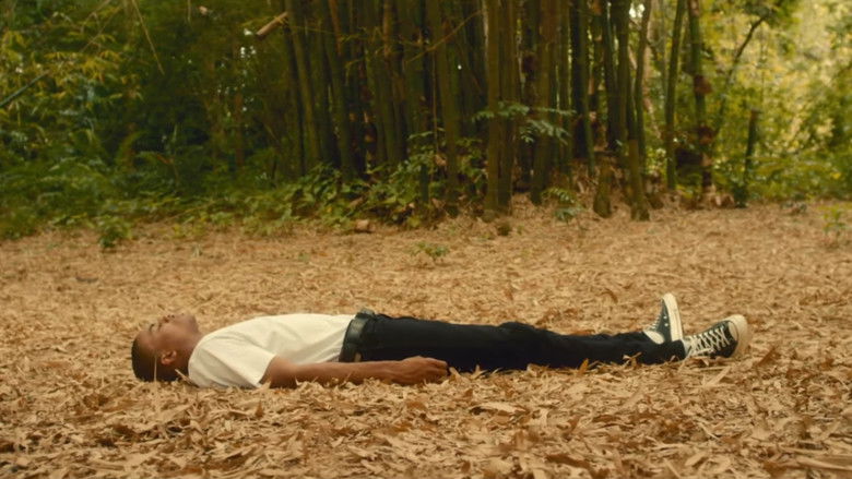 кадр из фильма Prima Donna