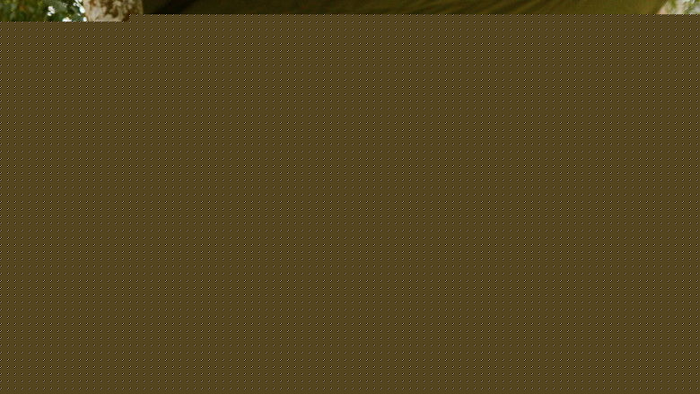 кадр из фильма Lost Cities: Megacity of the Maya Warrior King